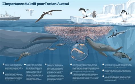 regulation on krill take.